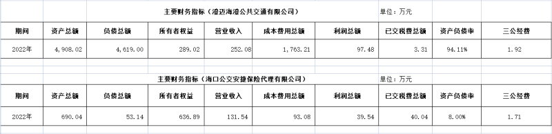 ?？诠患瘓F(tuán)及下屬各子公司2022年度信息公開財(cái)務(wù)主要指標(biāo)明細(xì)2_副本.png